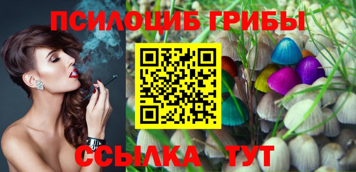 Галлюциногенные грибы GOLDEN TEACHER  Вход с VPN  купить наркотик  Армавир  Галлюциногенные грибы Cubensis 