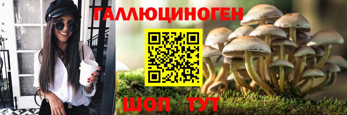 Псилоцибиновые грибы ЛСД Армавир